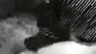 Homemade Japanese Adult Video