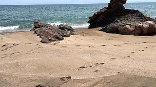 Public Pee Desperate on the Beach