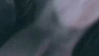 Black Cat & Eve - Futa Girls Fuck in the Rain - 3D Animation