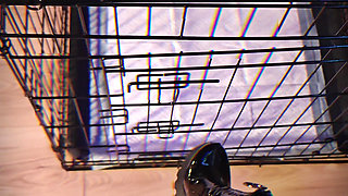 Arise, Slave! Admire - Mistress Julia