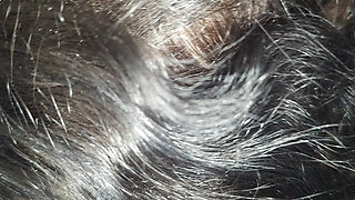 Xxxmas with Cummy Bear 4