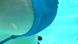 Artemisia Love Sexy Bikini Big Boobs Underwater Fetish at the Pool