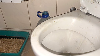 Licking Dirty Floor and Toilet, Flashing Head in It