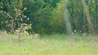 Soapy Seduction the Naughtiest Car Wash Deal of Your Life