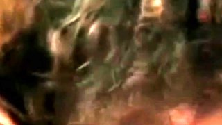 China Cat Classic Adult Movie Scene