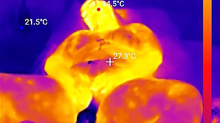 First BBC Sex Machine Fuck: Oiled up BBW Cums Hard on Your Massive Cock, 15 Min Ride and Cum Countdown, POV Thermal