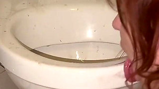 Licking Dirty Floor and Toilet, Flashing Head in It