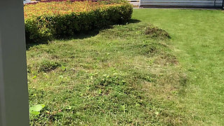 Life Porn Stories 1 - Part 1 Oral Goddess