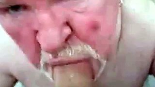 Amateur Daddy Bear Sucks Cock