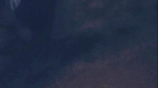 The Bonnet Chronicles Part 4