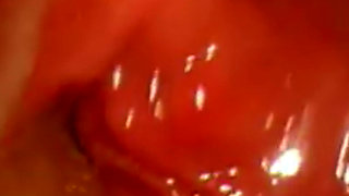 Inside Me the Journey of the Orange