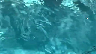 Dangerous Creature in the Water