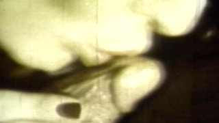 Sepia Vintage Cum Sluts Share Loads in Retro 8-minute Orgy