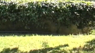 Amateur Blonde Lady From Germany Got Her Ass Fucke in the Outdoor Show