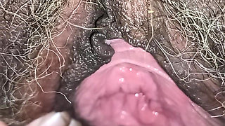 Eating pussy